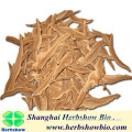 Chinese organic ganoderma slices